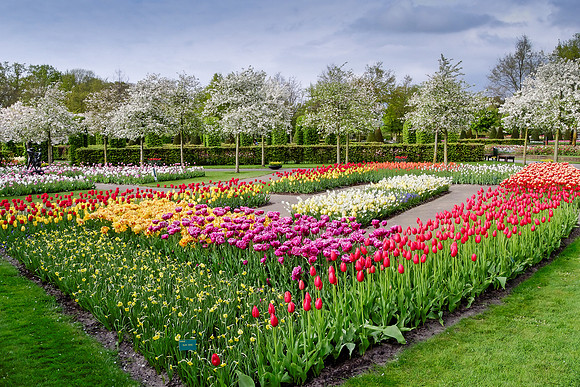 Keukenhof