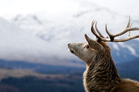 Loch Tulla