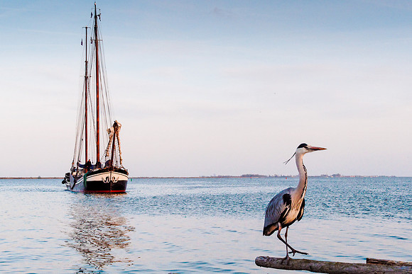 Volendam