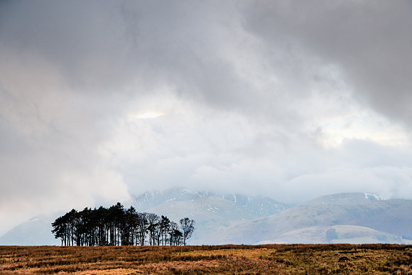 Troutbeck