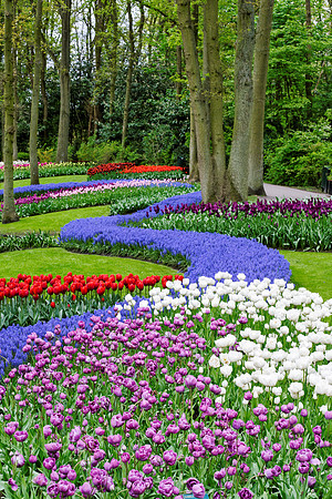 Keukenhof