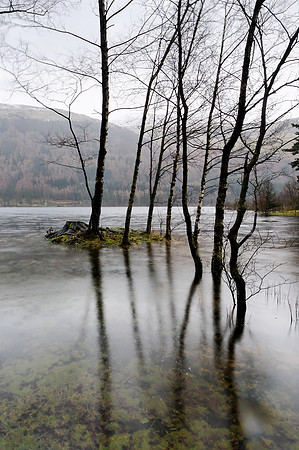 Tarns Hows